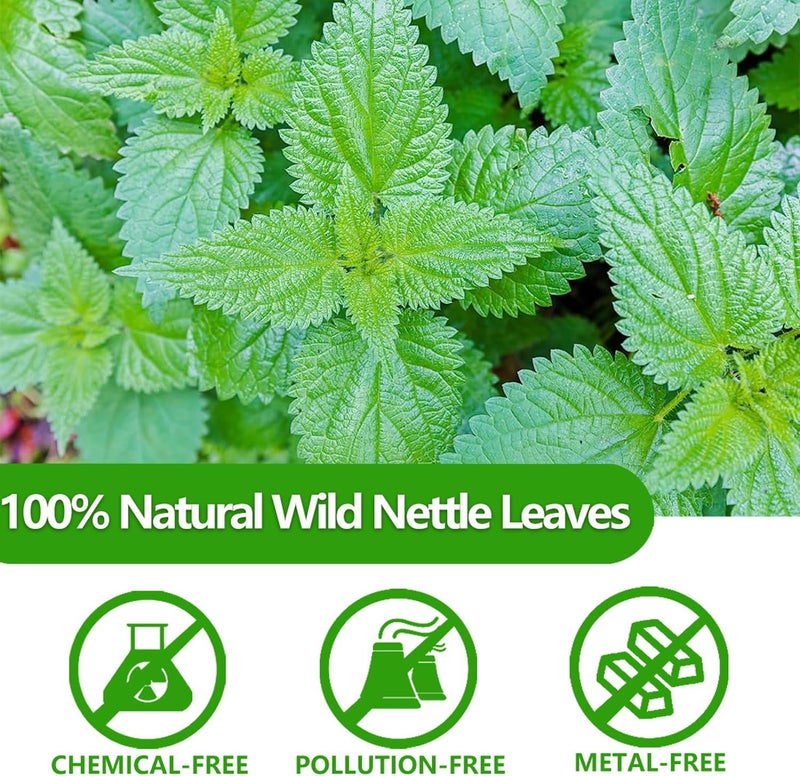 ULTHMOK Premium 100 Stinging Nettle Leaf Tea Bags - 100% Wild Nettle Leaves, Caffeine Free - Image 3